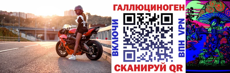 дарнет шоп Апатиты Псилоцибиновые грибы Psilocybine cubensis