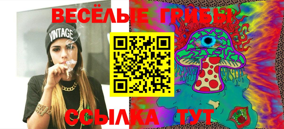 Псилоцибиновые грибы Cubensis Апатиты