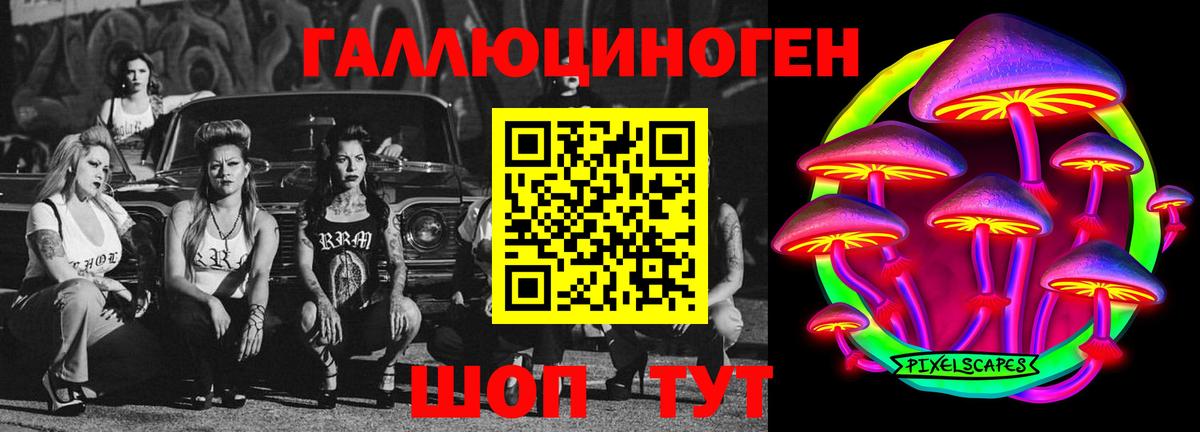 Псилоцибиновые грибы Magic Shrooms  Апатиты  Псилоцибиновые грибы Psilocybe 