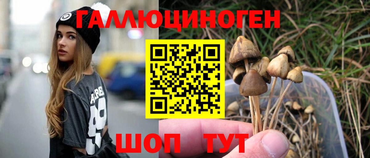 Галлюциногенные грибы MAGIC MUSHROOMS  Вход с VPN  Апатиты 